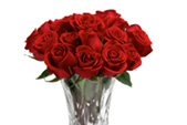 Roses Portfolio - Full Service Florist